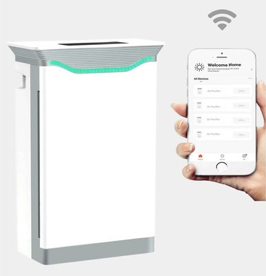 अच्छा मूल्य HOMEFISH नकारात्मक आयन घरेलू वायु शोधक यूवीसी Luftreiniger 220V ऑनलाइन